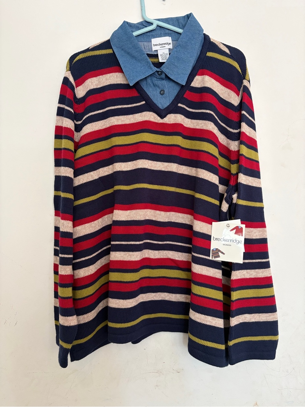 Breckenridge Old Money Cottagecore Striped Granola Sweater Denim Collared Book